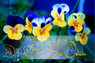 Frohe Ostern 190